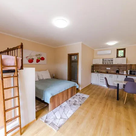 Eperke Vendeghaz- Apartment Vajdacska